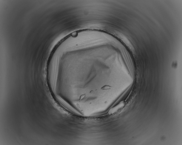 X0000102010944200808081721