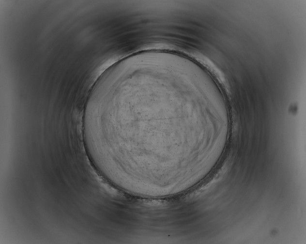 X0000102010945200808081721