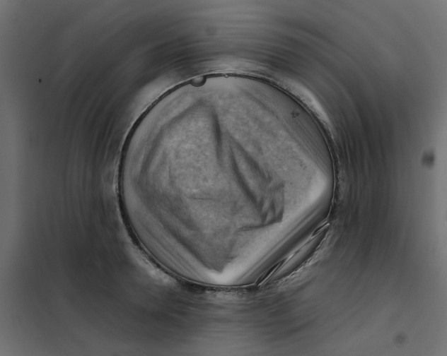 X0000102010946200808081721