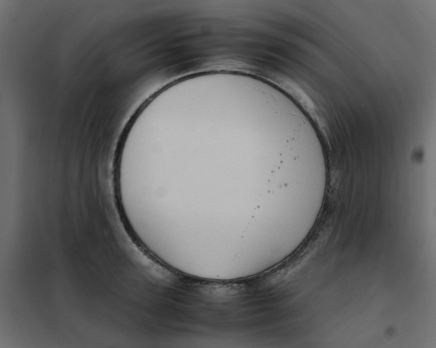 X0000102010947200808081721