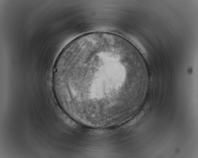 X0000102010948200808081721