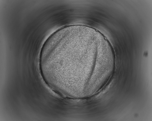 X0000102010949200808081721