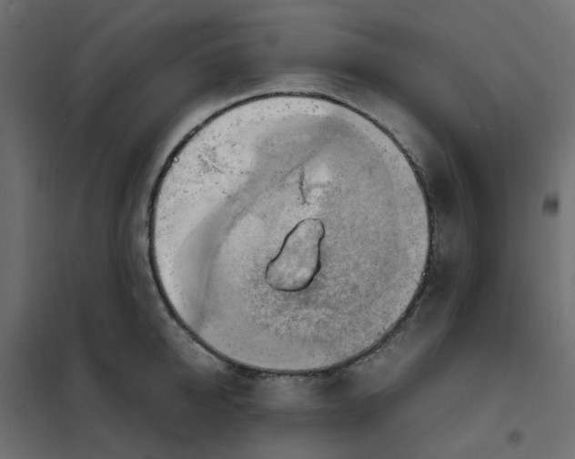 X0000102010950200808081721