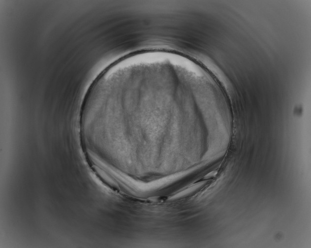 X0000102010951200808081721