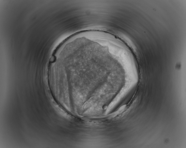 X0000102010952200808081721