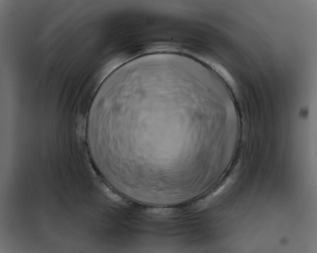 X0000102010953200808081721