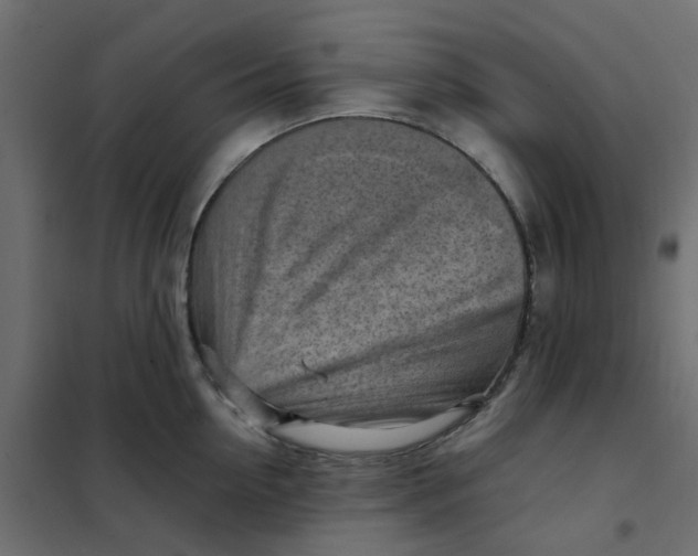 X0000102010954200808081721