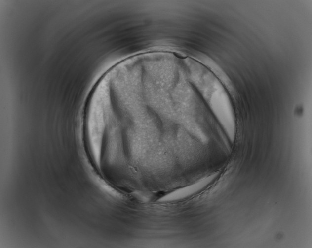 X0000102010955200808081721