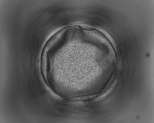 X0000102010957200808081721