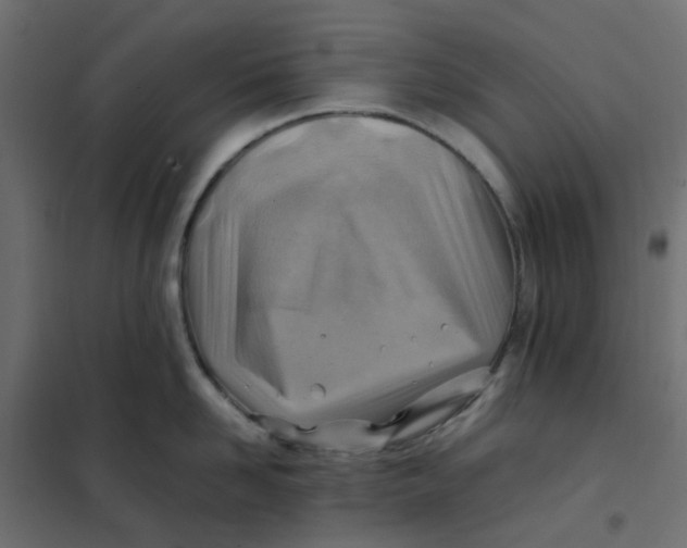 X0000102010958200808081721