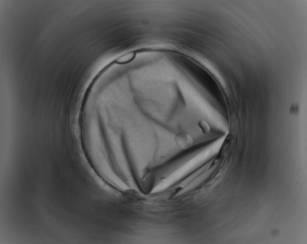 X0000102010959200808081721