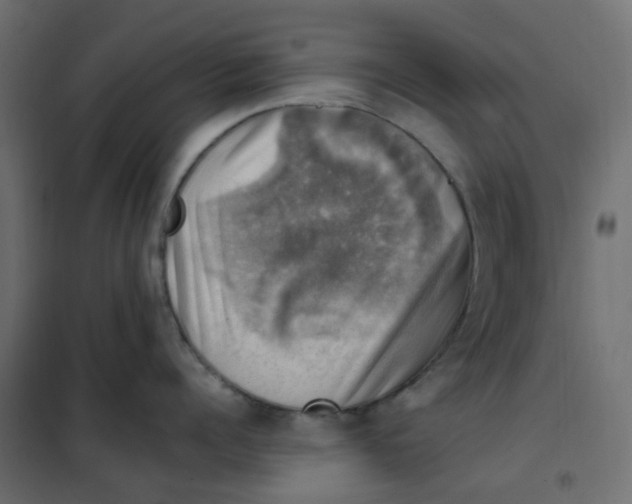 X0000102010960200808081721