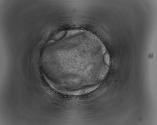 X0000102010961200808081721