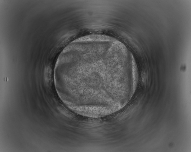 X0000102010964200808081720