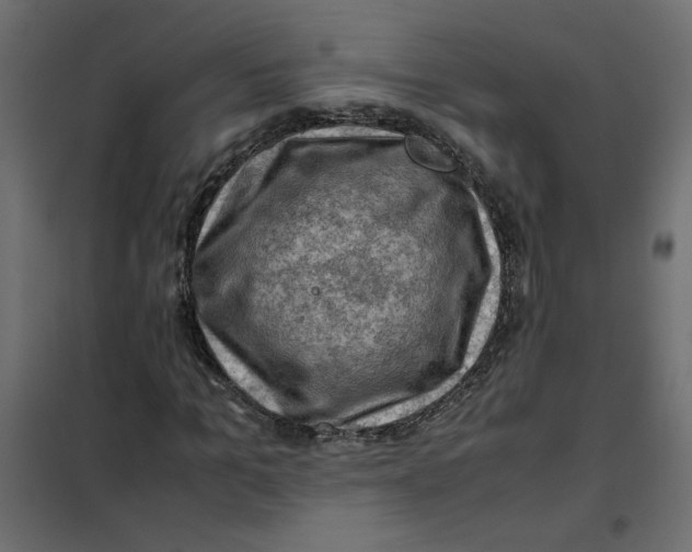 X0000102010965200808081720