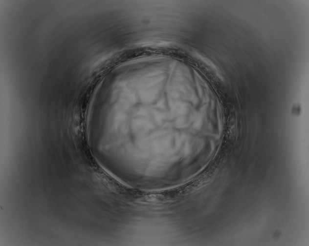 X0000102010966200808081720