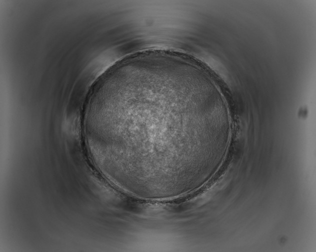 X0000102010969200808081720