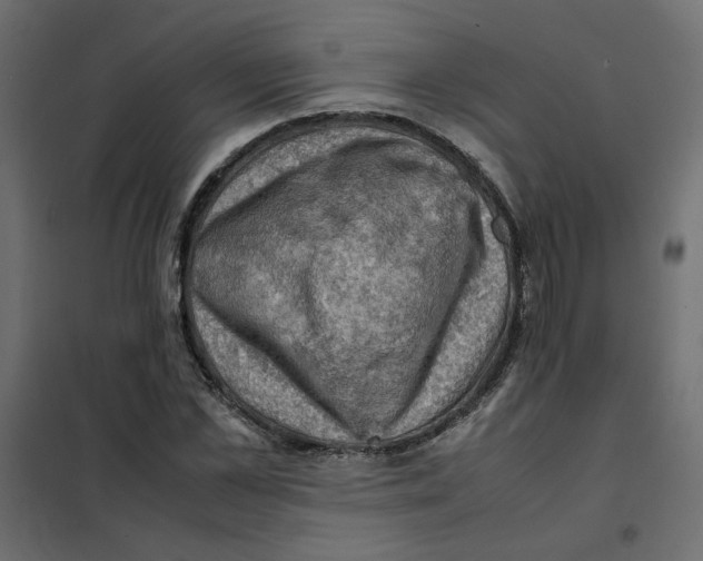 X0000102010973200808081720