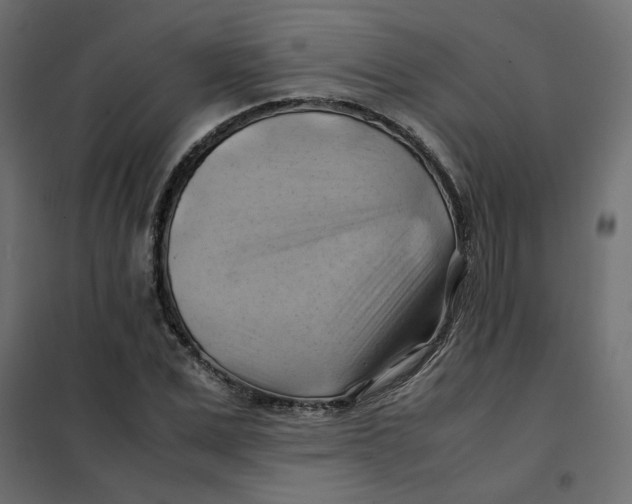 X0000102010975200808081720