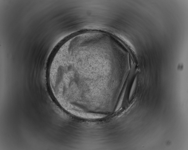 X0000102010976200808081720