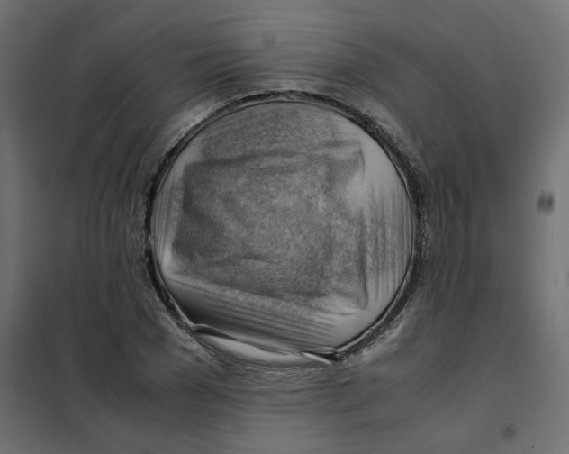 X0000102010977200808081720