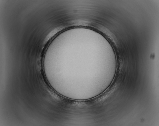 X0000102010978200808081720