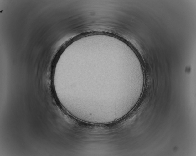 X0000102010979200808081720