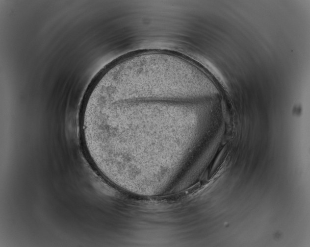 X0000102010980200808081720