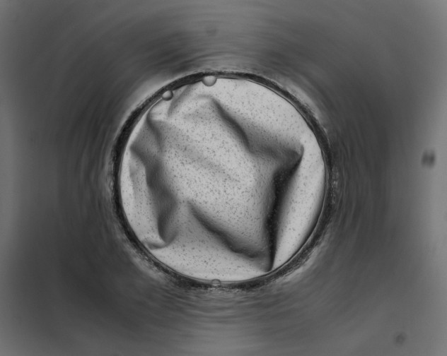 X0000102010981200808081720