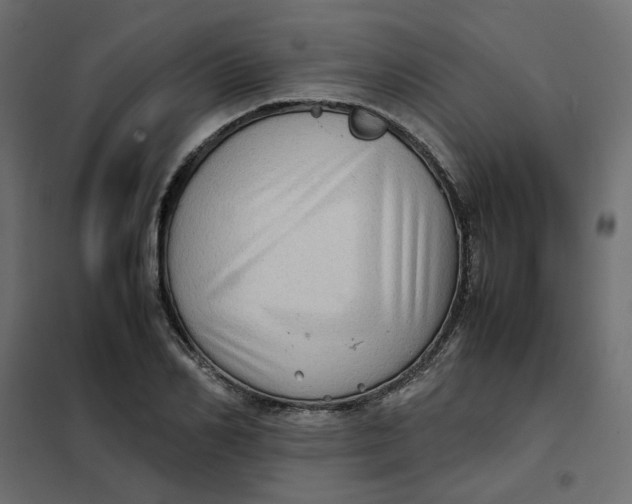 X0000102010982200808081720