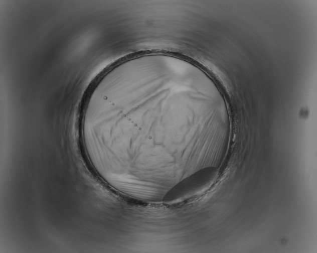 X0000102010983200808081720