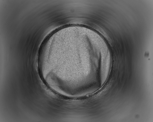 X0000102010984200808081720