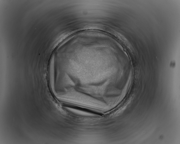 X0000102010985200808081720