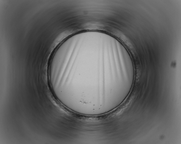 X0000102010986200808081720