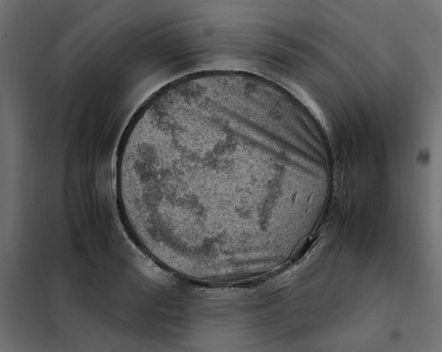 X0000102010988200808081720