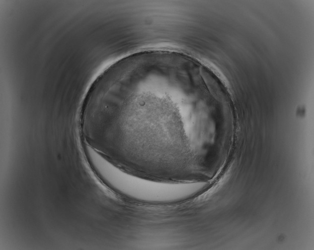 X0000102010989200808081720