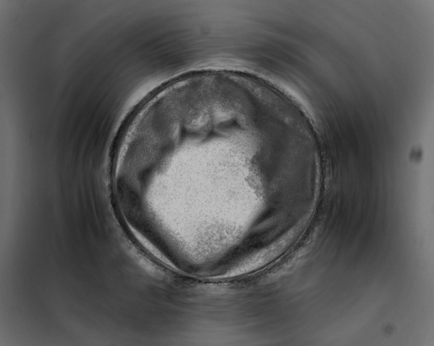 X0000102010990200808081720