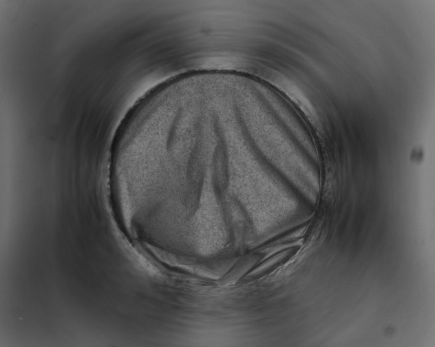 X0000102010992200808081720