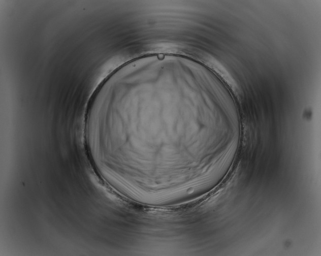 X0000102010994200808081720