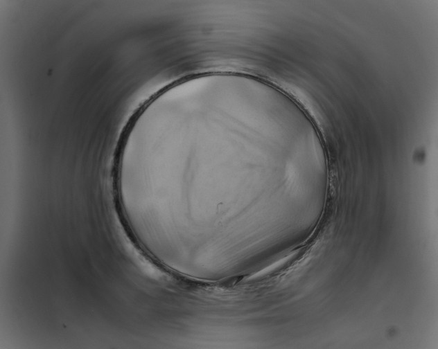 X0000102010995200808081720