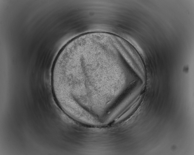 X0000102010996200808081720