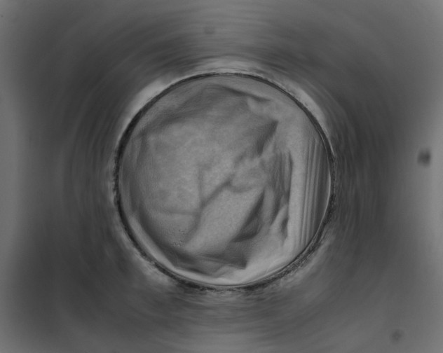 X0000102010997200808081720