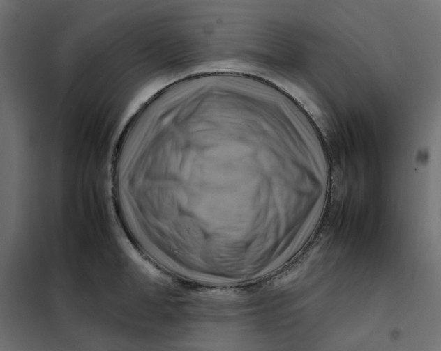 X0000102010998200808081720