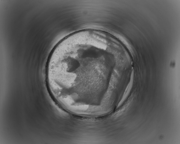 X0000102010999200808081720