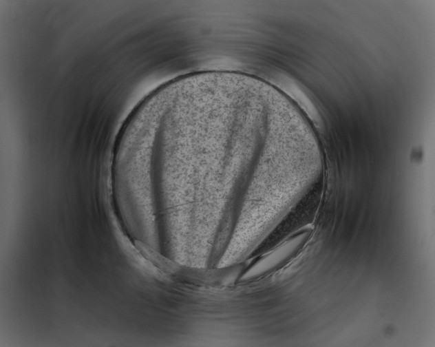 X0000102011000200808081720