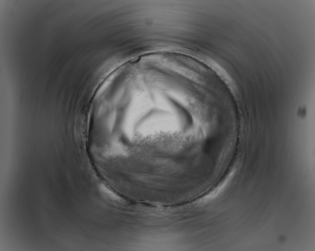 X0000102011001200808081720