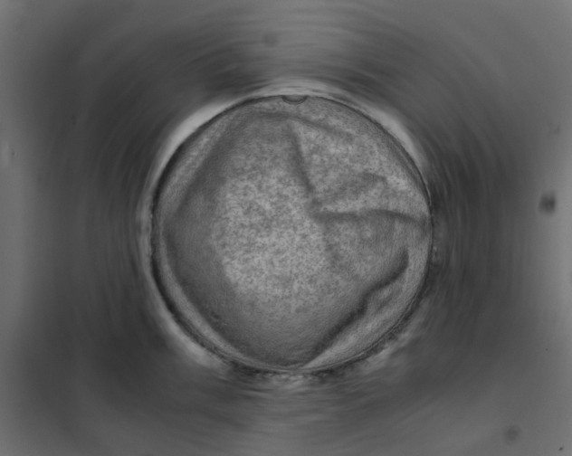 X0000102011003200808081720