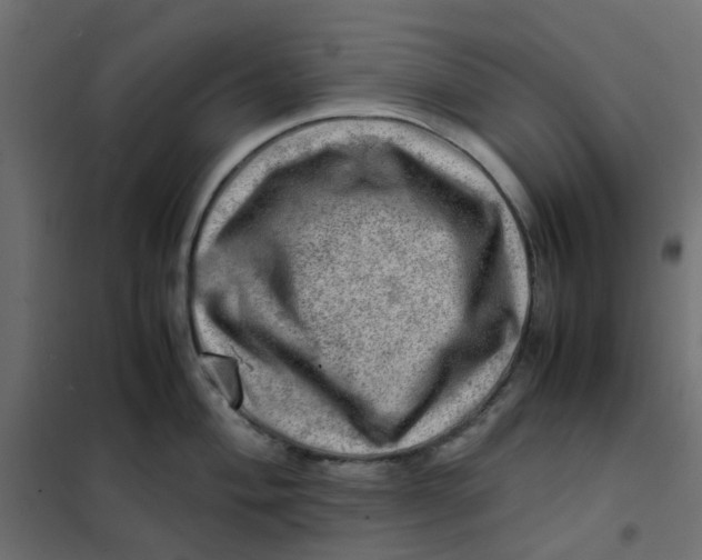 X0000102011004200808081720