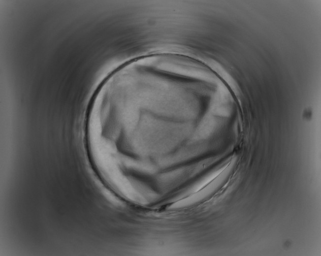 X0000102011005200808081720