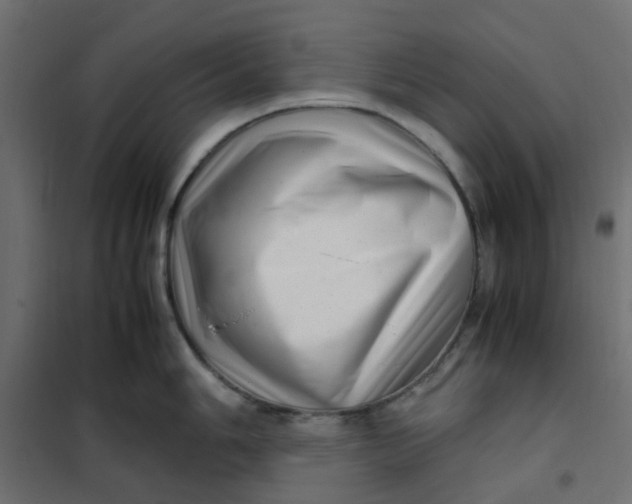 X0000102011006200808081720